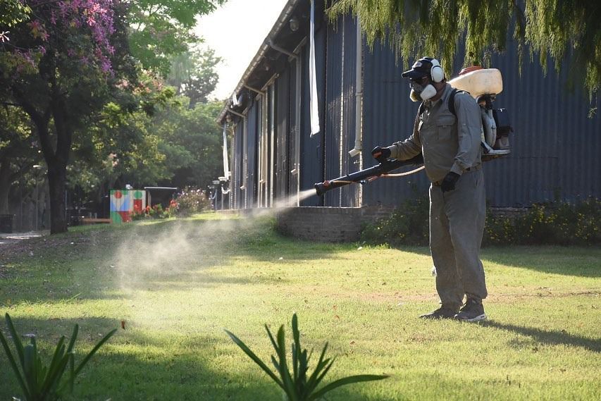Humedad, calor y mosquitos: arranca la temporada de dengue y hay que estar preparados